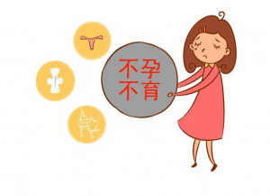 卵裂期胚胎、囊胚移植，还是新鲜胚胎移植、冷冻胚胎移植，哪种移植成功率更高？