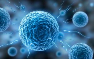 厦门捐卵机构-厦门dna亲子鉴定机构 国内正规医院捐卵收费 早孕流产怎么办？