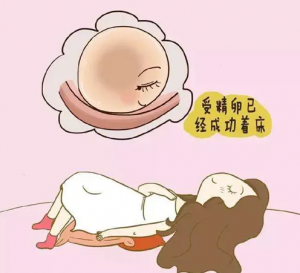 黄鹤峰院士谈高龄怀孕：67岁试管怀孕，还是双胞胎！ 接下来是什么？