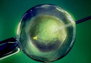 长沙妊娠亲子鉴定中心名单/2023年更新汇总