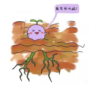 冷冻胚胎移植预产期如何计算_冷冻胚胎移植预产期如何计算