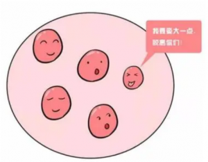 奇迹｜西安女子冷冻胚胎12年产二胎！ 读完后，我深有感…