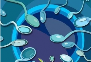 试管婴儿冷冻胚胎移植预产期算法，试管婴儿预产期如何计算