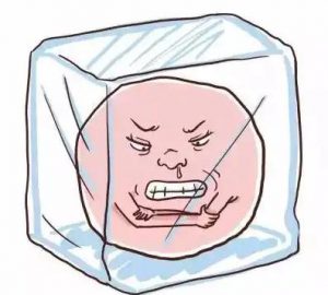 培养囊胚好还是冷冻胚胎好？