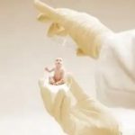冷冻胚胎植入试管婴儿体内需要多长时间? 冷冻胚胎植入试管婴儿体内需要多长时间?