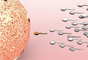 9三体胎停原因分析，是偶然还是遗传？ 阅读它就明白了！