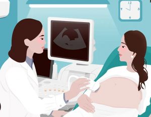 北京大学第三医院冷冻胚胎人工周期移植详细步骤