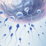 延安试管受孕冷冻囊胚是直接植入还是要游几天? 延安试管受孕冷冻囊胚是直接植入还是要游几天?