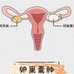 冷冻胚胎植入后20天内植入 冷冻胚胎植入后几天 冷冻胚胎植入后20天内植入 冷冻胚胎植入后几天