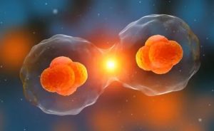 浙江做试管，选嘉兴妇产医院好还是杭州邵逸夫好？ 金华供卵试管要多久？