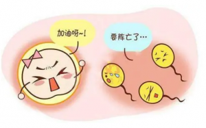 【医学问答】宫外孕保守治疗后多久可以移植冷冻胚胎？