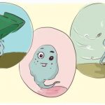 没有囊可以冷冻新鲜胚胎吗? 没有囊可以冷冻新鲜胚胎吗?