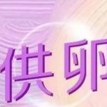 试管婴儿移植后,感觉中国试管婴儿30年的问题越来越成熟。 需要多长时间才能成熟? 试管婴儿移植后,感觉中国试管婴儿30年的问题越来越成熟。 需要多长时间才能成熟?