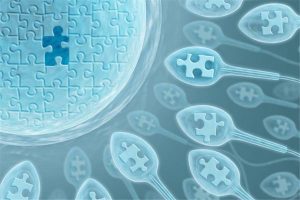 试管移植成功后，保胎效果最好！