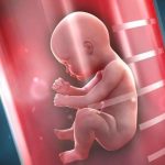 在做试管婴儿之前,这样调理身体有利于成功! 在做试管婴儿之前,这样调理身体有利于成功!