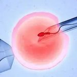 【喜讯】长沙市妇幼保健院生殖医学中心科普视频由湖南省医学会生殖医学专业委员会护理