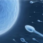 试管婴儿用多少卵子好？取卵一般取多大的卵泡