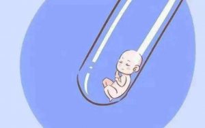 单身女性可以合法冷冻卵子吗？  “冻卵案”背后是他们的生育权争夺战