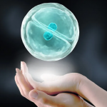 染色体检查一般多久能出结果 染色体检查一般多久能出结果