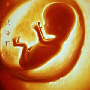 供卵试管试管冷冻胚胎移植成功率高还是