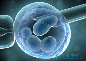 女性在刮宫手术后五个月可以继续做冷冻胚胎移植吗？