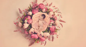 供卵费用 宁波市孕期亲子鉴定费用价格表（2023年最新更新）