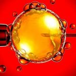 西安供卵试管组-你说冷冻胚胎试管婴儿移植好! 西安供卵试管组-你说冷冻胚胎试管婴儿移植好!