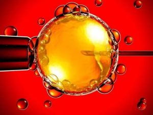 西安供卵试管组-你说冷冻胚胎试管婴儿移植好！