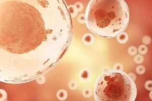 【试管知识】试管婴儿取卵后冷冻胚胎可以冷冻多久？