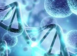 可以自己找供卵吗_有供卵中心吗_太原三代试管男男价格高吗？太原试管