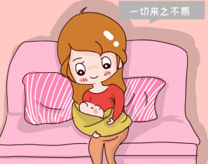 哪种试管婴儿的新鲜胚胎移植、囊胚移植、冷冻胚胎移植的成功率最高？