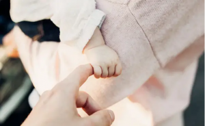 供卵费用 长沙做亲子鉴定多少钱（2023年最新费用明细一览表）