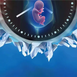 2023重庆市中医院供卵试管周期多少钱? 2023重庆市中医院供卵试管周期多少钱?