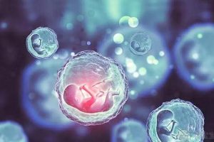 冷冻卵子的条件是什么？ 单身女性可以冻卵吗？我国只有两种情况可以冻卵