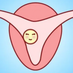 新鲜胚胎移植后剩余的胚胎应该冷冻还是培养成囊胚? 新鲜胚胎移植后剩余的胚胎应该冷冻还是培养成囊胚?