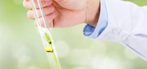 有没有卵泡全部失败但冷冻胚胎移植成功的情况？