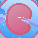 D3胚胎移植几天就能查出来,冷冻胚胎移植后不宜急于验孕 D3胚胎移植几天就能查出来,冷冻胚胎移植后不宜急于验孕