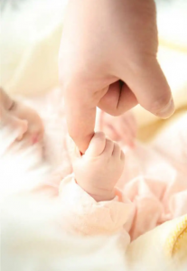 试管移植冷冻胚胎流程_试管移植冷冻胚胎流程步骤