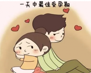 试管婴儿。 冷冻胚胎在几天内被转移和测量