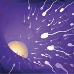 如何提高乐山老年试管婴儿冷冻胚胎移植的成功率