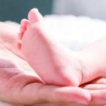 下调后用人工周期移植冷冻囊胚需要多长时间？