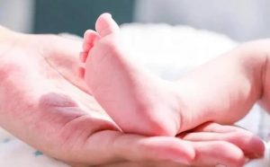 下调后用人工周期移植冷冻囊胚需要多长时间？