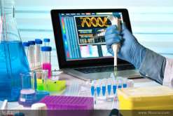 ,影响卵泡数量的因素 打了降调卵泡会不会变多