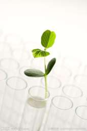 女性冷冻卵子合法吗