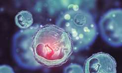 (重庆三代试管费用)2023年重庆三代试管婴儿费用大约多少[重庆试管婴儿]