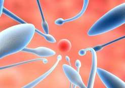 新生儿拉稀水怎么办(新生儿拉稀水是什么原因)