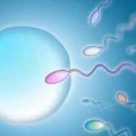 如何解决高龄男性的精子问题? 如何解决高龄男性的精子问题?
