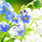 南京第三代试管婴儿生男孩医院排名？