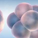 南京鼓楼医院供精试管费用[南京鼓楼医院可以做供精试管吗]