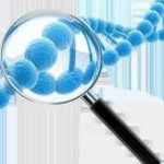 做完亲子鉴定上户的流程 做完亲子鉴定上户所需时间 做完亲子鉴定上户的流程 做完亲子鉴定上户所需时间